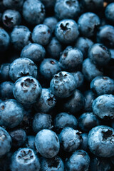 Fresh blueberries in water drops, close up top view. Black and blue juicy berries. Natural blue background. Summer vitamin harvest. Natural diet. Healthy food. Freshness concept. Group of ripe blueber