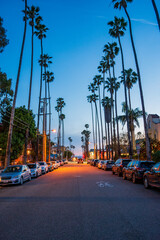 Naklejka premium Dusk on a street in Santa Monica, California, with the typical tall palm trees, sea in the distance and parked cars. 