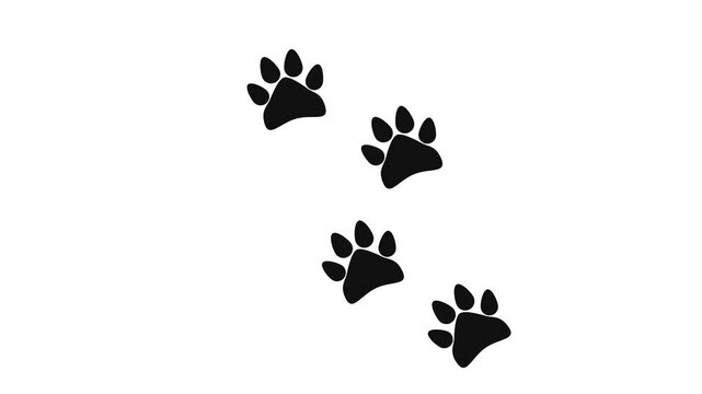 Black paw print icon. Motion graphic design.