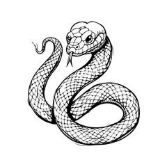 Obraz premium A black and white drawing of a snake with a long, thin body on white background. Vector illustration