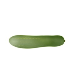 Cucumber illustration on white background.