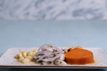 Minimalist presentation of a very popular dish in the Peruvian region called Ceviche.