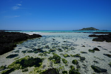 mossy rocks in sea water