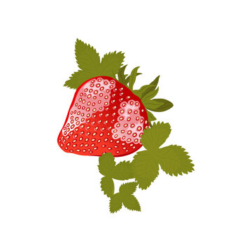 strawberries on a white background