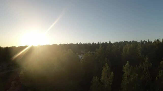 Aerial FPV video over the Ben Shemen forest on a sunny day in Israel