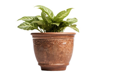 Obraz premium A vintage stoneware flower pot with a classic, timeless design, isolated on a white background.