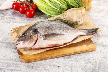 Raw dorada fish served rosemary