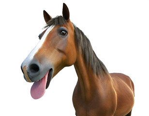 Fototapeta premium Pferd mit Zunge rausstrecken isoliert auf weißen Hintergrund, Freisteller