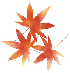 赤色の紅葉の葉　水彩タッチ