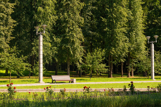 Alley in the Victory park, Minsk, Belarus