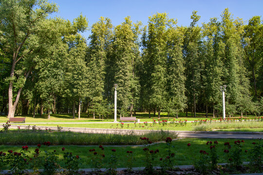 Alley in the Victory park, Minsk, Belarus