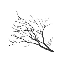 Obraz premium Minimalist black tree branch with budding leaves on a white background