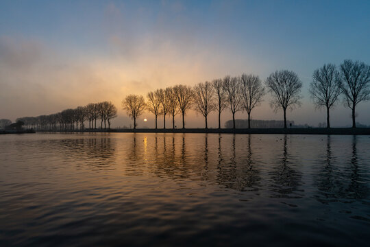 Sunrise over the river : horizon with line of trees and some mist in the morning serene atmosphere