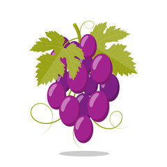 Grapes icon. Bunch of purple grapes with stem and leaf. Vector illustration isolated on white background