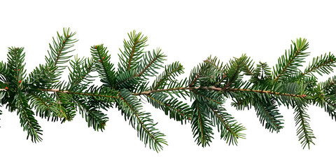 Obraz premium Christmas garland made of coniferous branches isolated on white background 