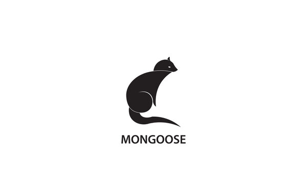 Mongoose logo design, minimalist silhouette logo of mongoose animal.