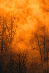 Obraz premium orange mist background