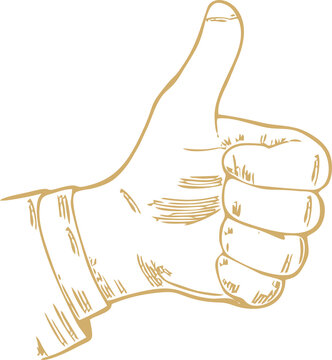 recommend clip art: Recommendation, thumb up, ok, good, excellent hand gesture on transparent background. PNG format good for apps and websites. Online approval and recommendation icon in high resolution.