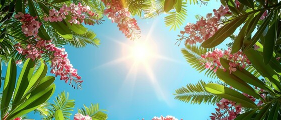Tropical Paradise