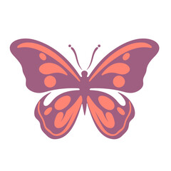 A colorful butterfly with large orange and purple wings, featuring a symmetrical pattern of spots and markings