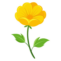 Captivating Buttercup Flower Vector Illustration Vibrant Botanical Art