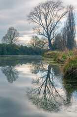 reflections at the river in winter