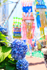 Traditional Tanabata Star Festival Decorations in Hiratsuka, Japan