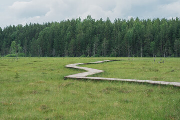 wooden walkway on educational nature trail in the protected peat fen landscape