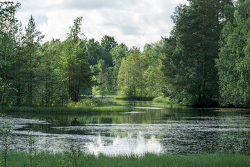 Forest lake in summer with reflection of trees and clouds in water.