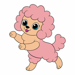baby Poodle dancing a clean, white background.