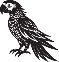 Obraz premium Vector silhouette image of Macaw bird