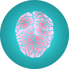 Brain, human brain icon isolated on green background. Vector, design illustration.