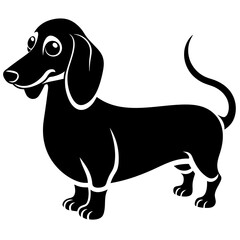 beagle dog isolated on white