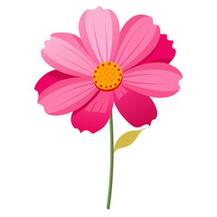 Cosmos Flower Vector Illustration for Design Projects