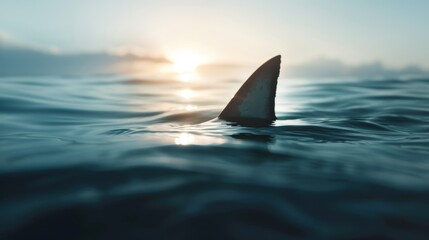 Fototapeta premium Dramatic evening seascape with a shark fin emerging from the water, lit by a setting sun and surrounded by gentle ocean waves.