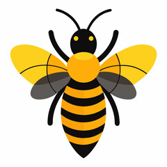 Honey Bee silhouettes and icons. Black flat color simple elegant white background Manatee animal vector and illustration.