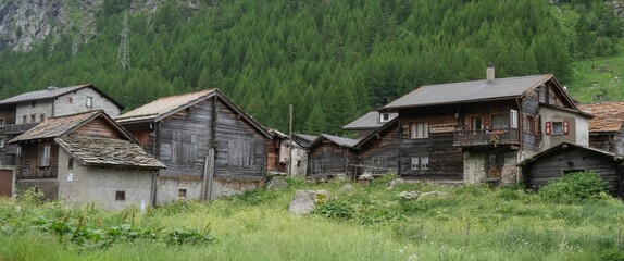 Rustic wooden houses in a quaint village surrounded by lush green forest