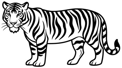 Graceful Tiger Line Art Vector Majestic Wildlife Sketch