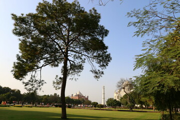 Taj Mahal India 02/20/2022. Taj Mahal. - mausoleum-mosque located in Agra, India, on the banks of the Jamna River