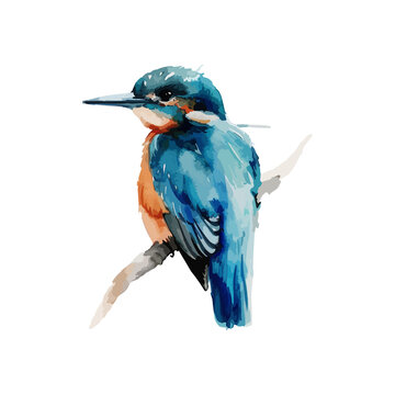 recommend clip art: watercolor coloful birds, generative ai
