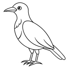 Simple outline drawing of a black bird standing on its legs
