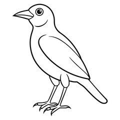 Simple line drawing of a blackbird standing on its legs