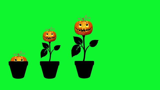 animated flower halloween content idea business vector illustration