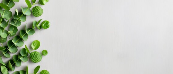Fresh green leaves arranged on the left side of a light grey background, offering a natural and minimalist design for various uses.