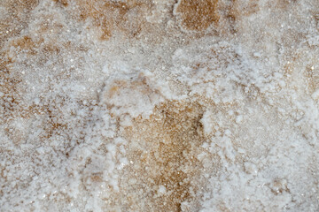 Sea salt, surface of a salt settling pond on the Portuguese coast near Tavira, close-up