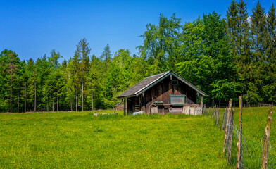 Landschaft, Wiesen und Natur, Bad Vigaun, Österreich