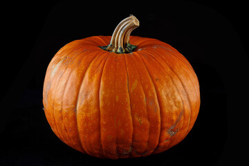 close up horizontal isolated image of a whole pumpkin over a black neutral background, cut out