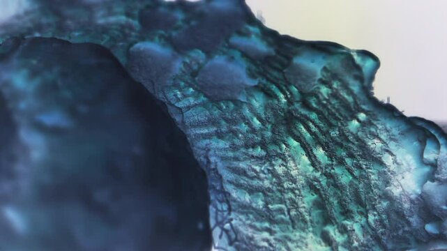 Close up of a strange surface of a blue shell.
