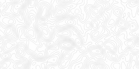 White wave paper curved reliefs abstract background. The topographic map contour in lines isolated. Abstract white topographic map background with lines. Background of the topography map.