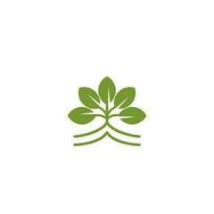 leaf five plant grow in earth logo vector, icon illustration